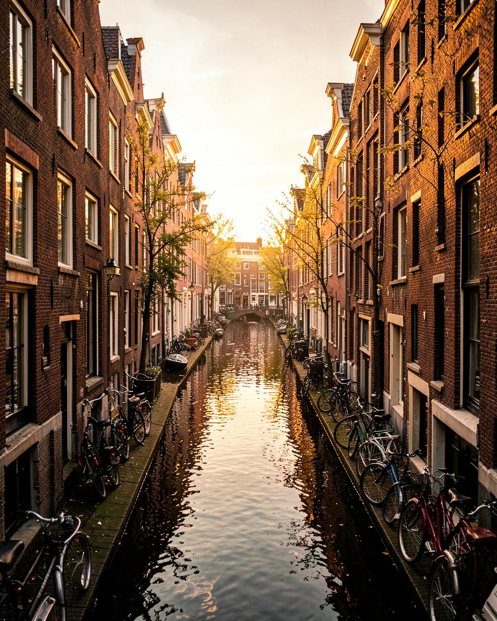 Amsterdam canal lined with bicycles